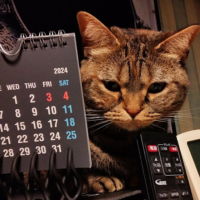 runaさんの実例写真