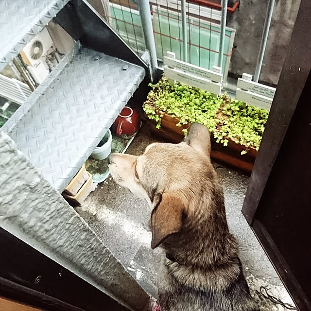andさんの実例写真