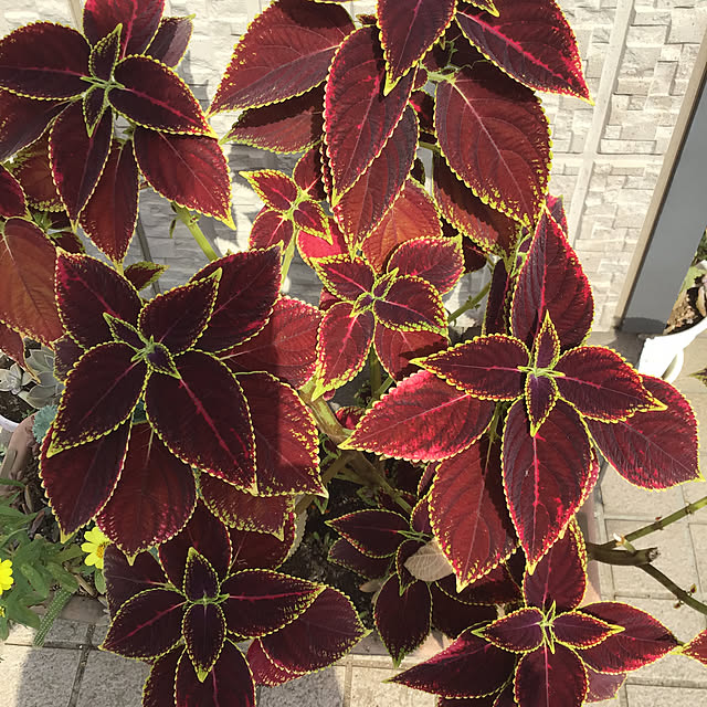 YUKIEさんの部屋