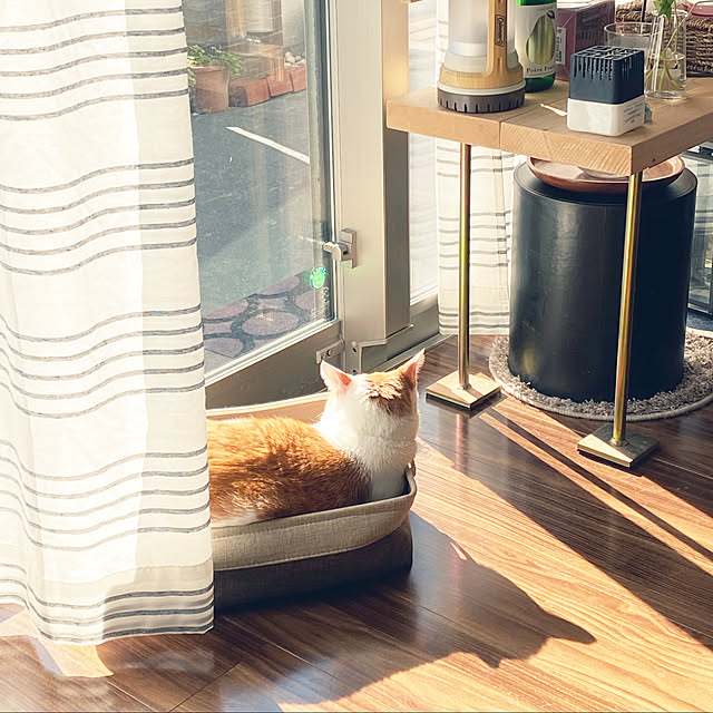 porinさんの実例写真