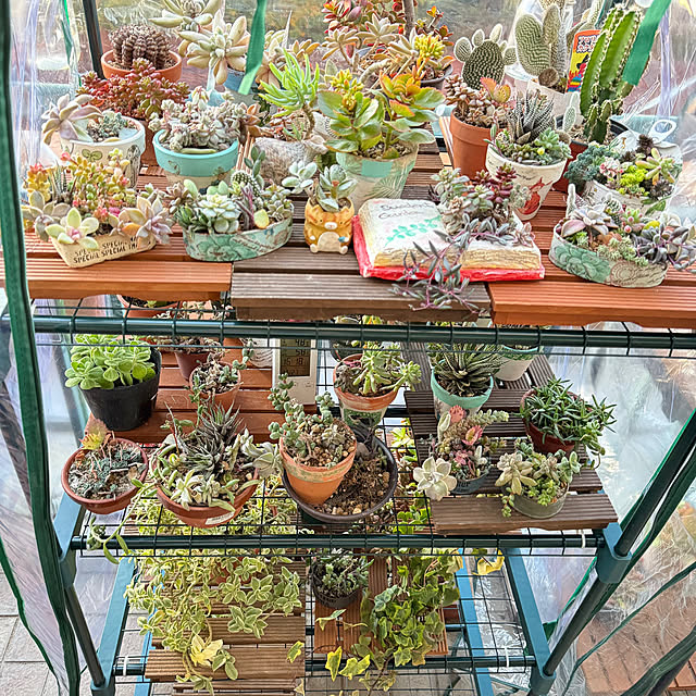 Aqettyさんの実例写真