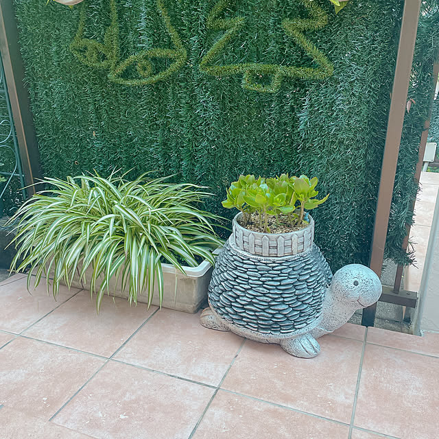 miyuさんの部屋