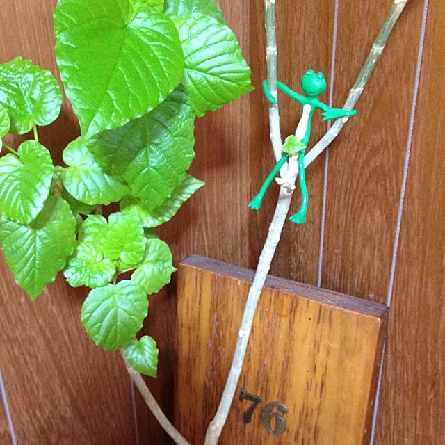 botanさんの実例写真
