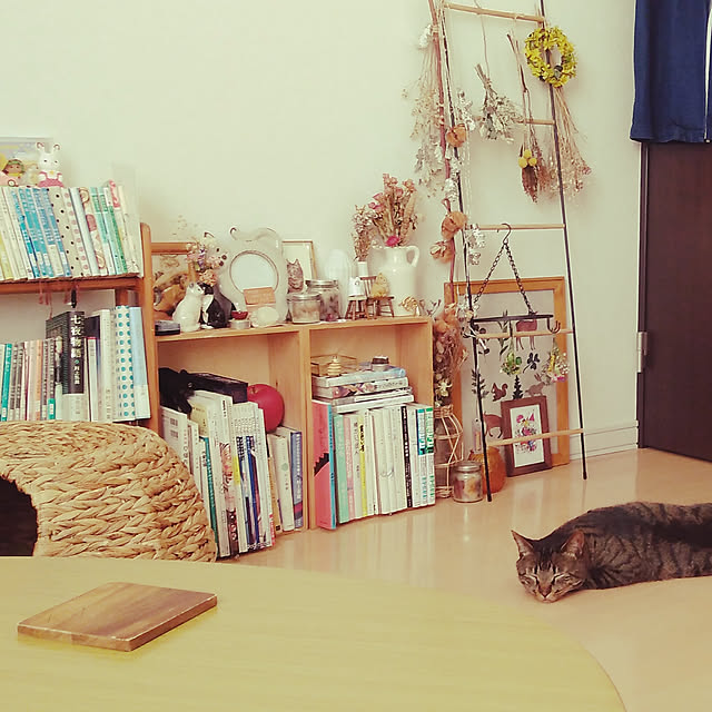 sleepywhaleさんの実例写真