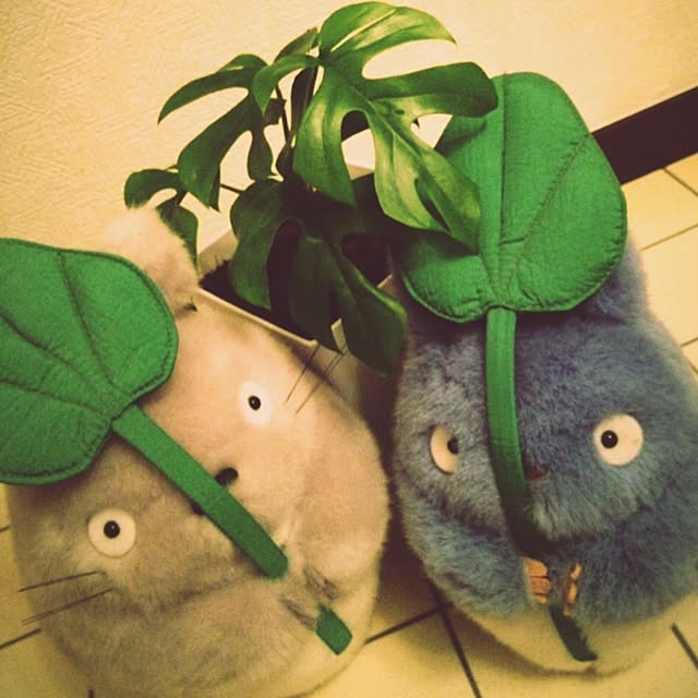 Chiharuさんの実例写真