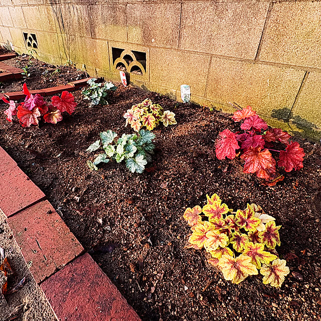 akkeyさんの実例写真