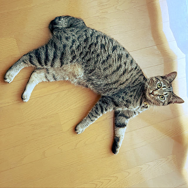 Mさんの実例写真