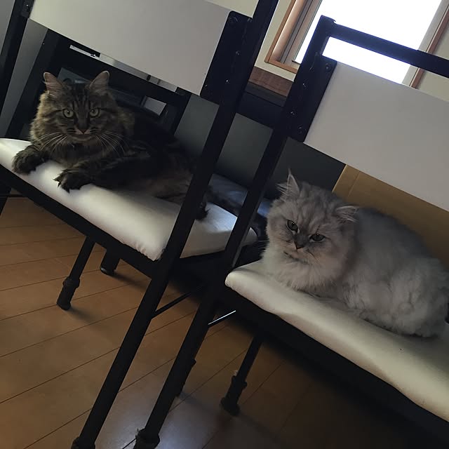 kayokoさんの実例写真