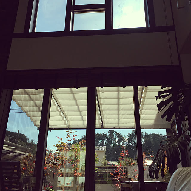 maimai0110さんの実例写真