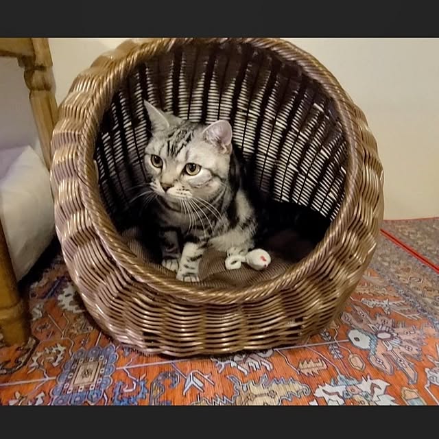 lovepeaceさんの部屋