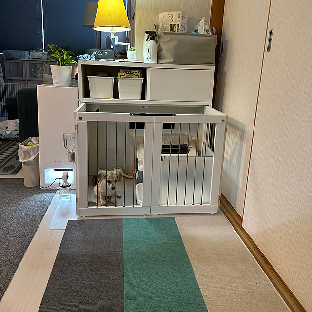 Rainyさんの実例写真