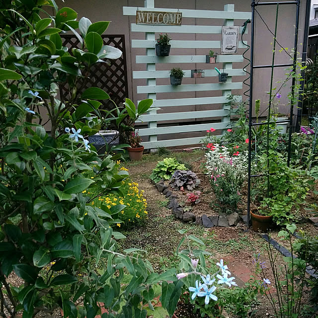 hiroさんの実例写真