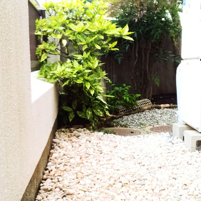 Renさんの実例写真