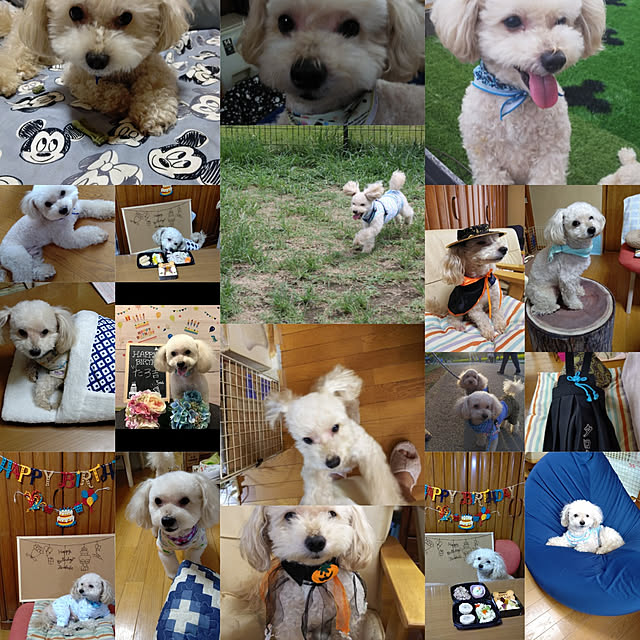 yumirinさんの実例写真