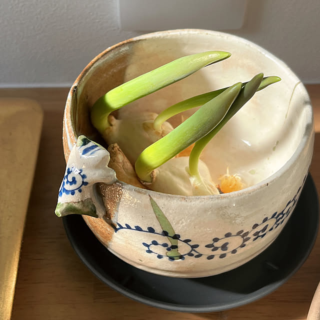 reika111さんの部屋