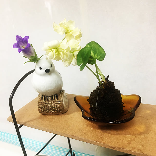 mimichankさんの実例写真