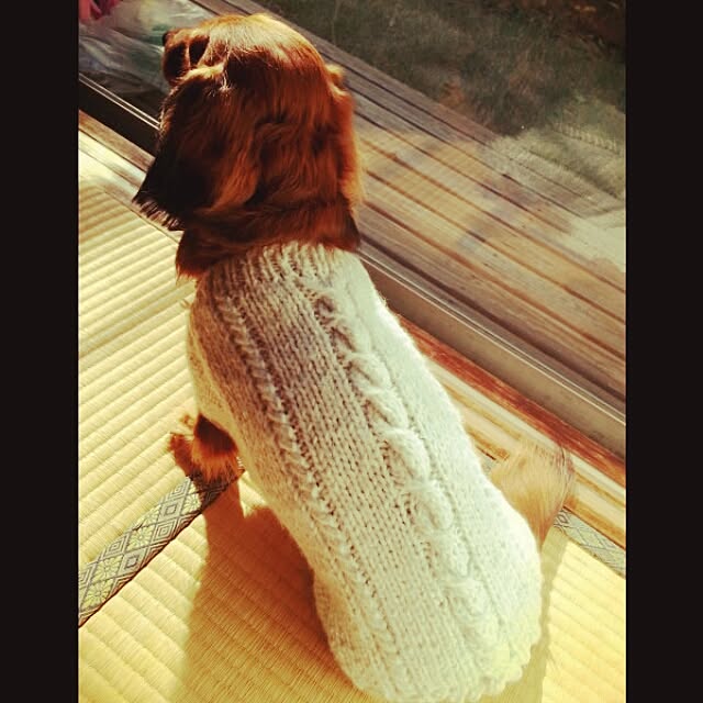 rumiさんの実例写真