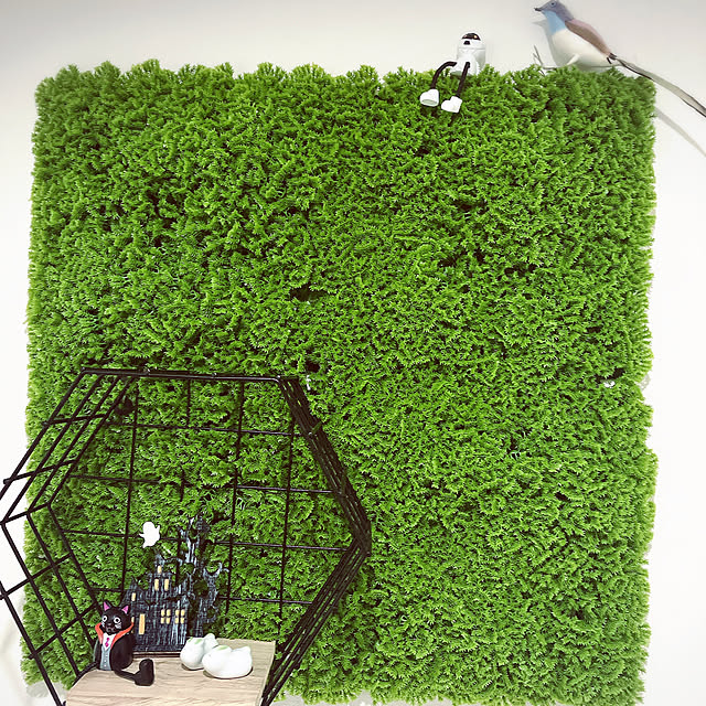 ulocoさんの部屋