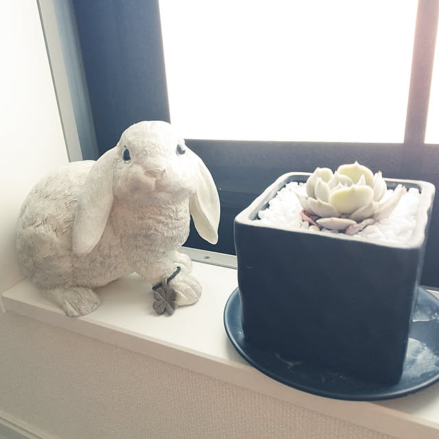 coco.Apartmanさんの実例写真