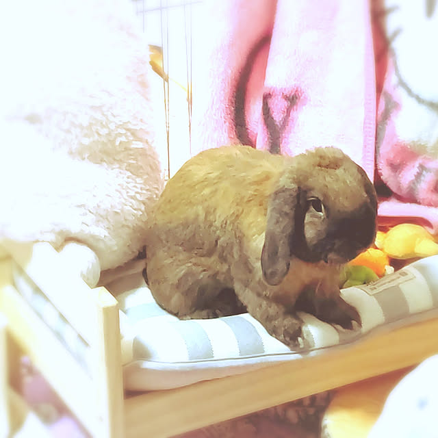 mariaさんの実例写真