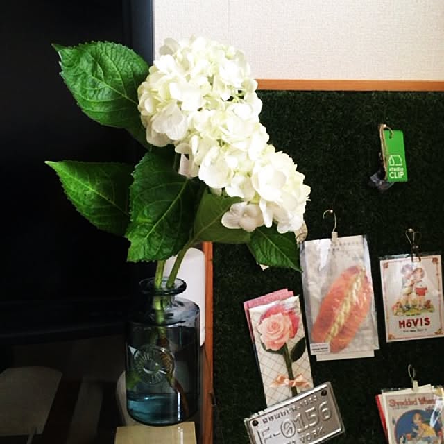 miSaさんの実例写真