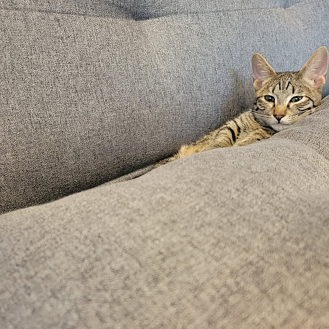 naoさんの実例写真