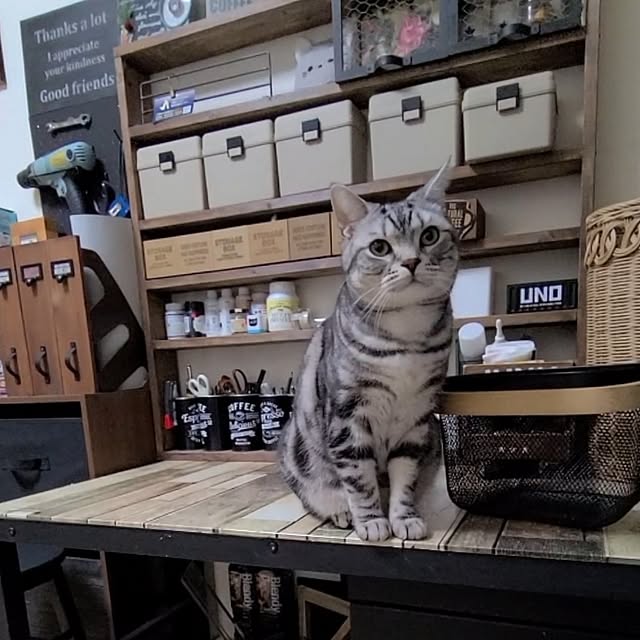 lovepeaceさんの部屋