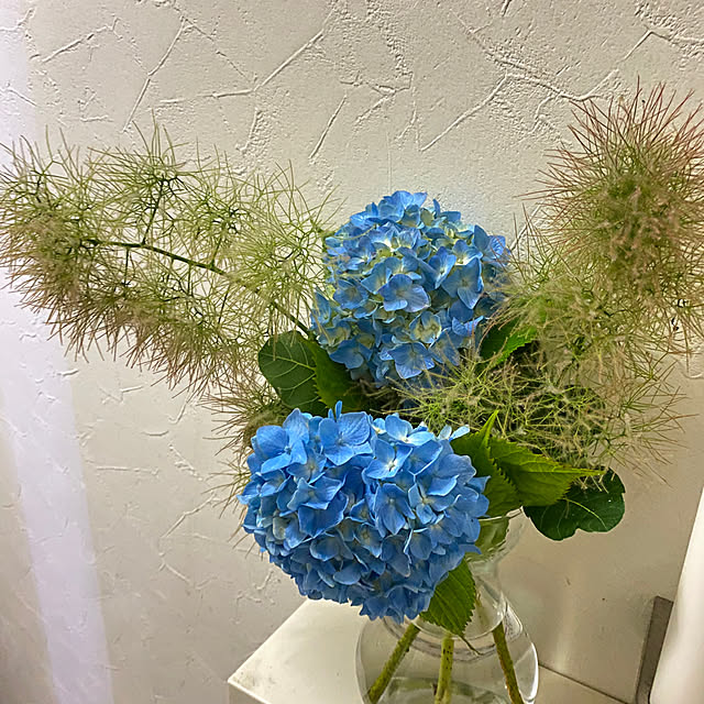 sattoさんの部屋