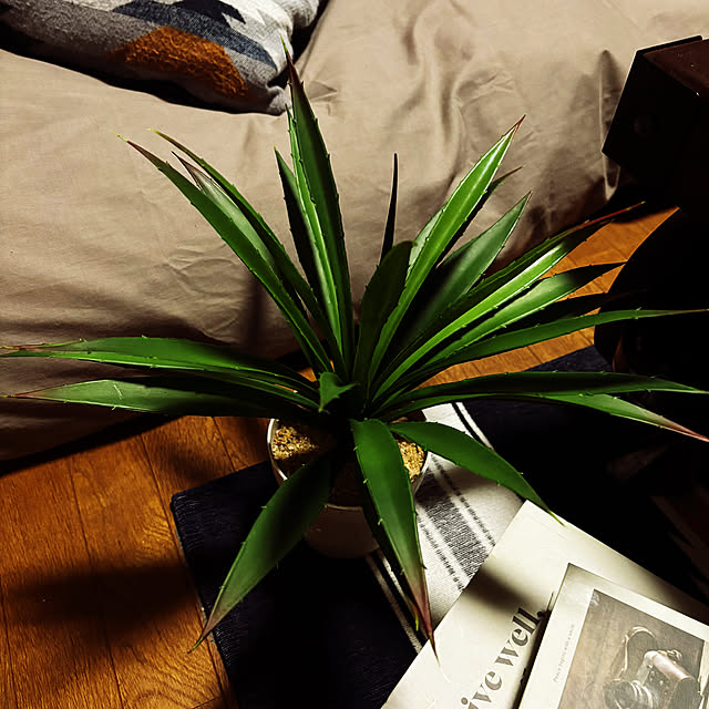 rintarotantan7さんの部屋