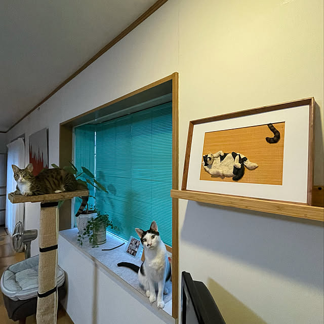 nobikoさんの実例写真