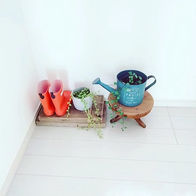 chieさんの部屋