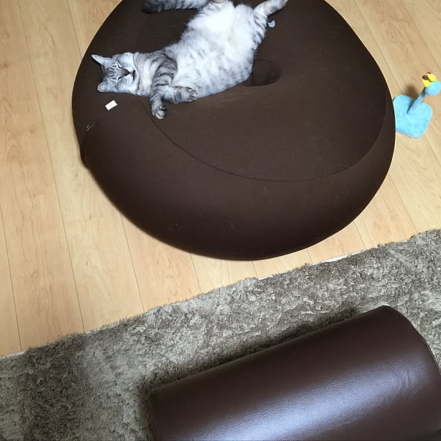 rumi.itasanさんの実例写真