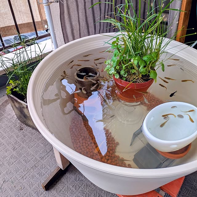 mi-saさんの実例写真