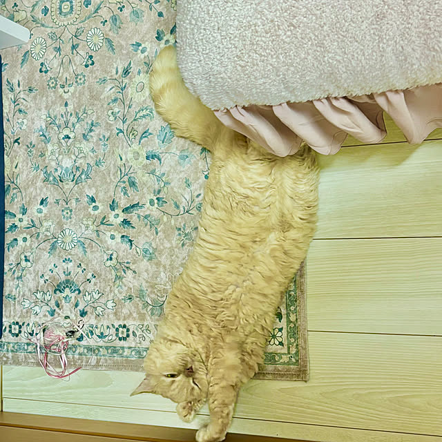 naokoさんの部屋