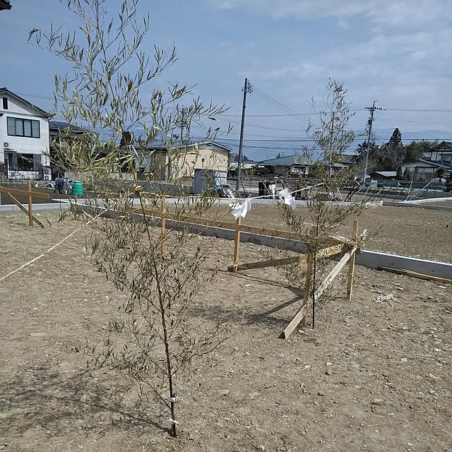 aimif15さんの実例写真