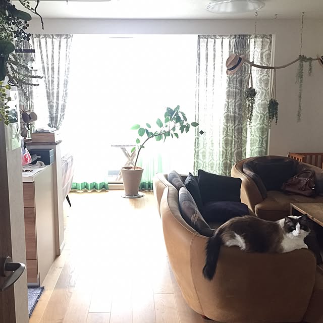 yukimikeさんの実例写真
