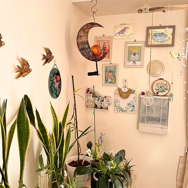 sumireさんの部屋