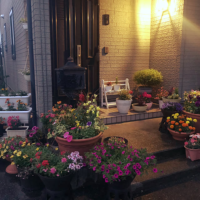 実例写真