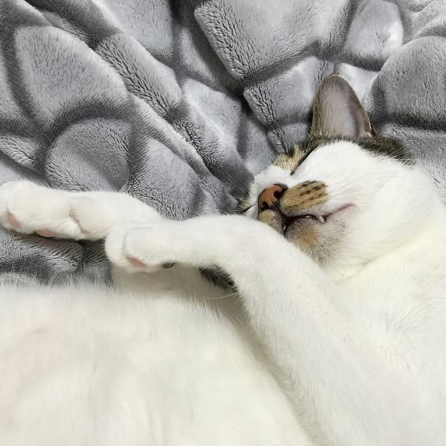 yuchiさんの実例写真