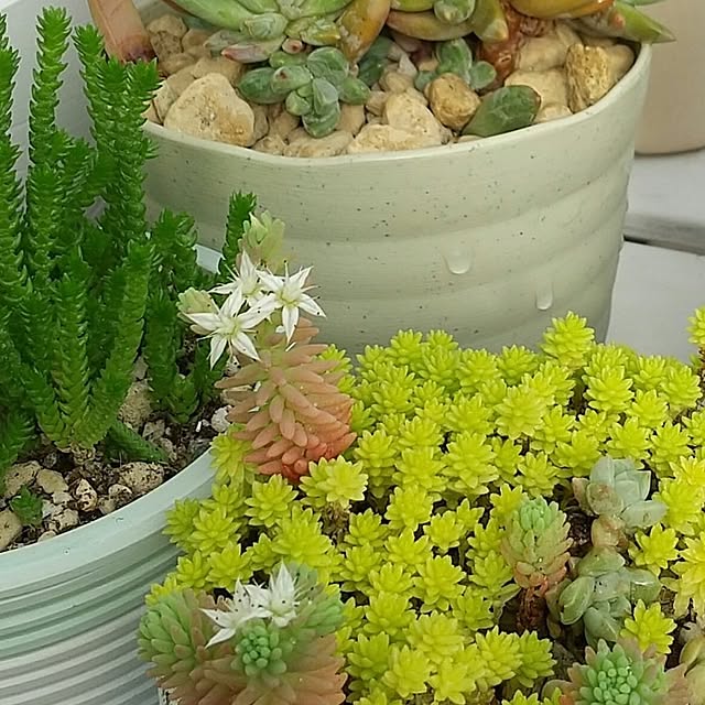 meiさんの部屋