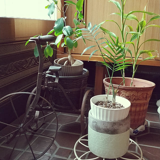 emibutaさんの実例写真