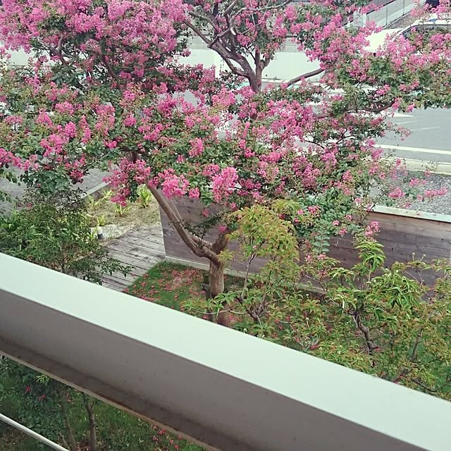 chajiさんの実例写真