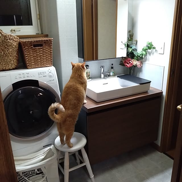 CHIKAさんの部屋