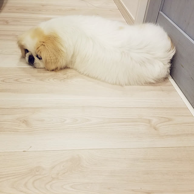 Arahimaさんの実例写真