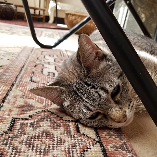 neoさんの実例写真