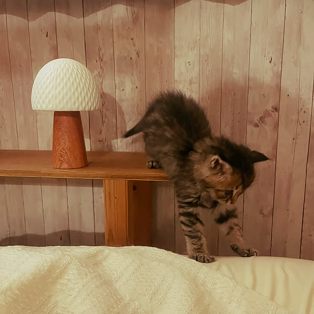 Mさんの部屋