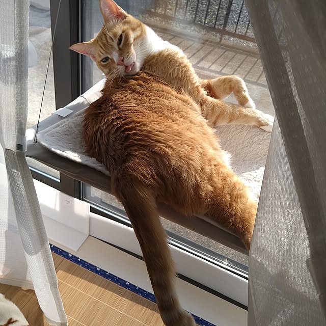 koromaroさんの部屋