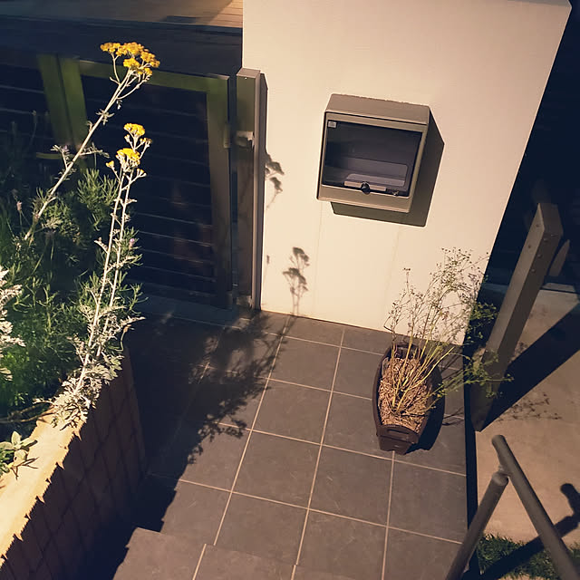 masaさんの実例写真