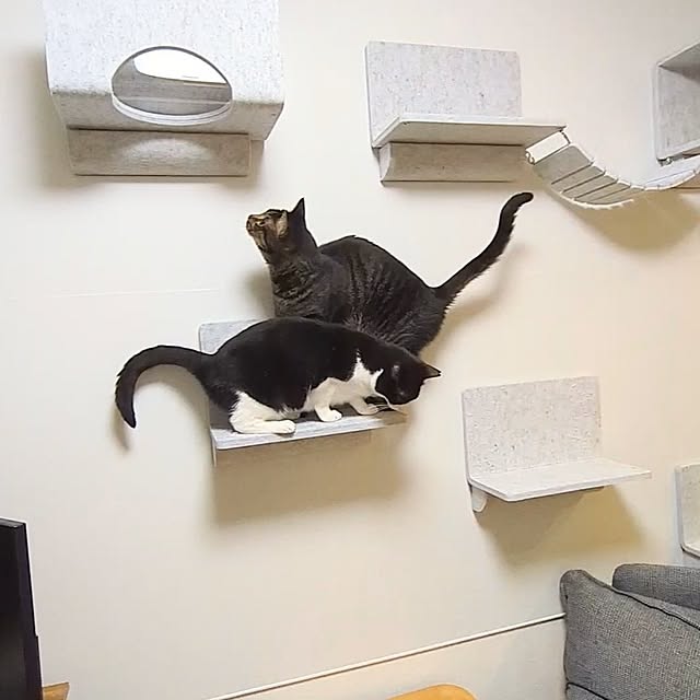 hihaさんの部屋