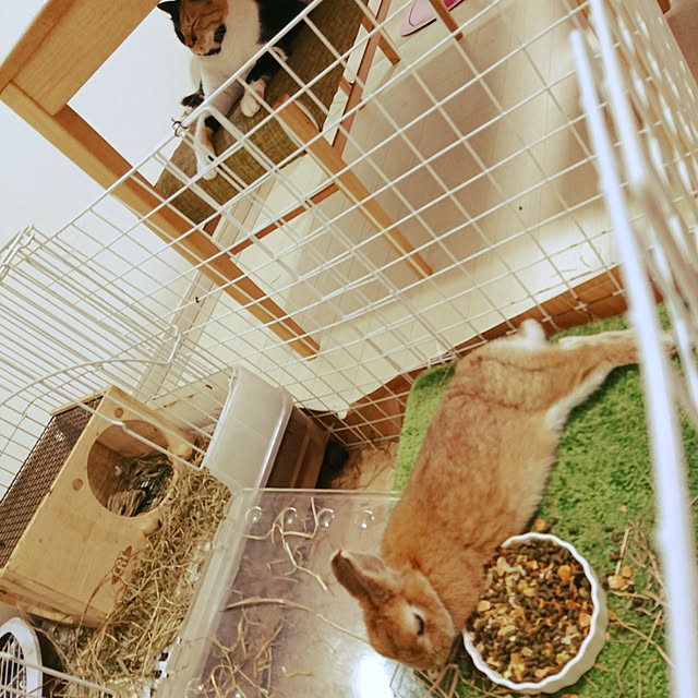 kuuaさんの実例写真